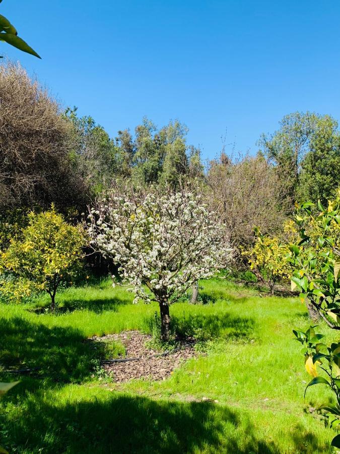 Kuralemu Casa De Campo Curacavi Εξωτερικό φωτογραφία