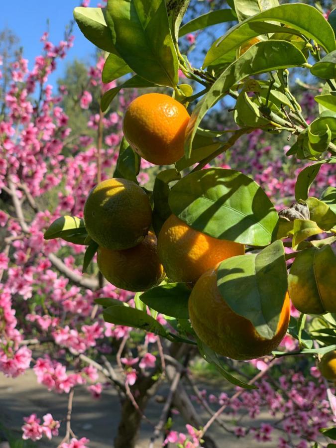 Kuralemu Casa De Campo Curacavi Εξωτερικό φωτογραφία